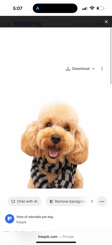 Puppy Shirts